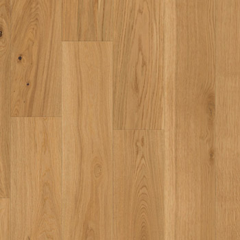 Eiche   - Artikelnummer: 55709