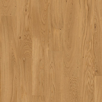 Eiche   - Artikelnummer: 69257