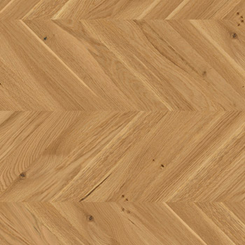 Eiche  lebhaft bunt - Artikelnummer: 69642